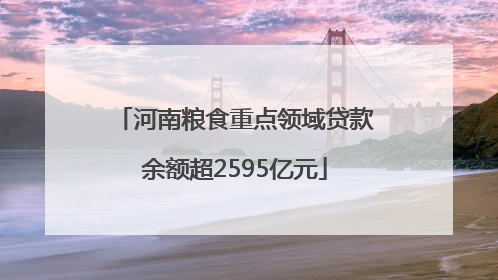 河南粮食重点领域贷款余额超2595亿元