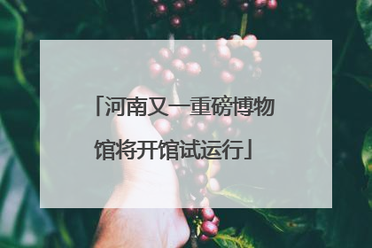 河南又一重磅博物馆将开馆试运行