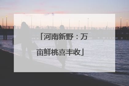 河南新野：万亩鲜桃喜丰收