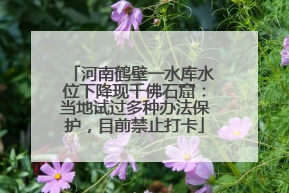 河南鹤壁一水库水位下降现千佛石窟：当地试过多种办法保护，目前禁止打卡