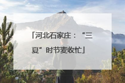 河北石家庄：“三夏”时节麦收忙