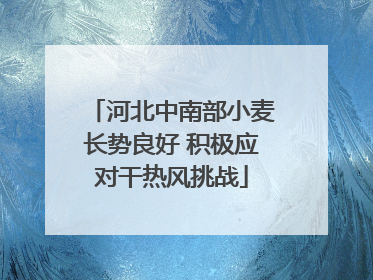 河北中南部小麦长势良好 积极应对干热风挑战