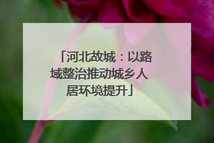 河北故城：以路域整治推动城乡人居环境提升