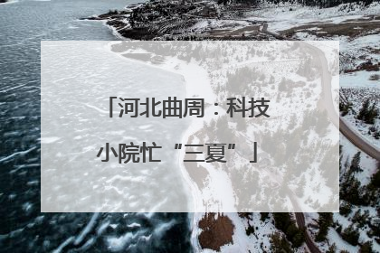 河北曲周：科技小院忙“三夏”