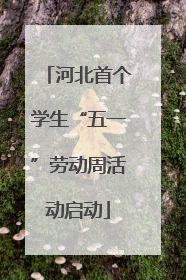 河北首个学生“五一”劳动周活动启动