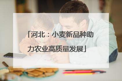 河北：小麦新品种助力农业高质量发展