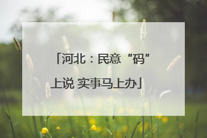 河北：民意“码”上说 实事马上办