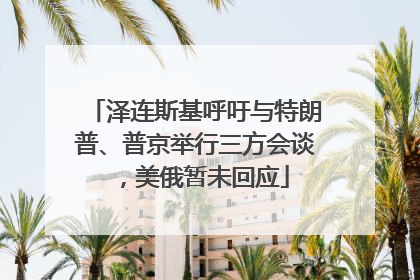 泽连斯基呼吁与特朗普、普京举行三方会谈，美俄暂未回应