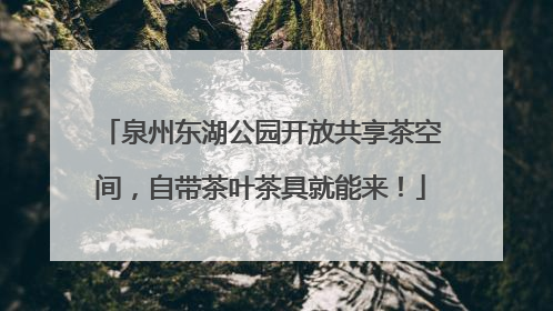 泉州东湖公园开放共享茶空间，自带茶叶茶具就能来！