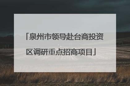 泉州市领导赴台商投资区调研重点招商项目