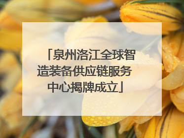 泉州洛江全球智造装备供应链服务中心揭牌成立