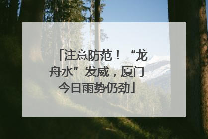 注意防范！“龙舟水”发威，厦门今日雨势仍劲