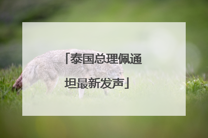 泰国总理佩通坦最新发声