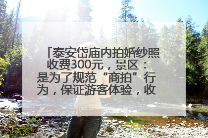 泰安岱庙内拍婚纱照收费300元，景区：是为了规范“商拍”行为，保证游客体验，收取费用全部上交国库