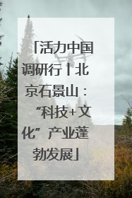 活力中国调研行丨北京石景山：“科技+文化”产业蓬勃发展