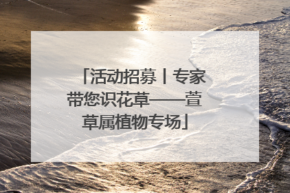 活动招募丨专家带您识花草——萱草属植物专场