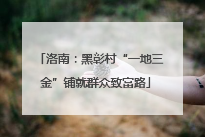 洛南：黑彰村“一地三金”铺就群众致富路