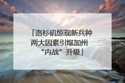 洛杉矶惊现新兵种 两大因素引爆加州“内战”升级