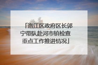 洛江区政府区长郭宁带队赴河市镇检查重点工作推进情况