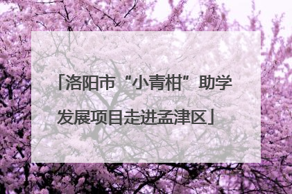 洛阳市“小青柑”助学发展项目走进孟津区