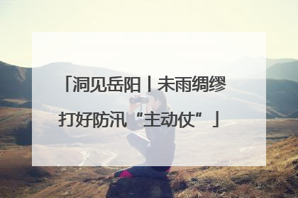 洞见岳阳丨未雨绸缪 打好防汛“主动仗”