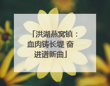 洪湖燕窝镇：血肉铸长堤 奋进谱新曲