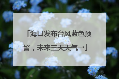 海口发布台风蓝色预警，未来三天天气→