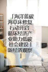 海洋蓝碳海草床修复行动开启 循环经济产业助力低碳社会建设丨新经济观察