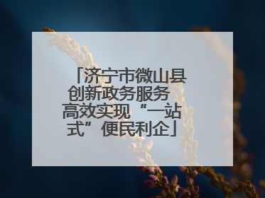 济宁市微山县创新政务服务 高效实现“一站式”便民利企