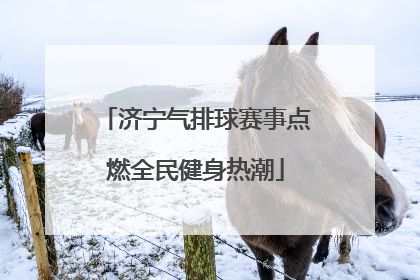 济宁气排球赛事点燃全民健身热潮
