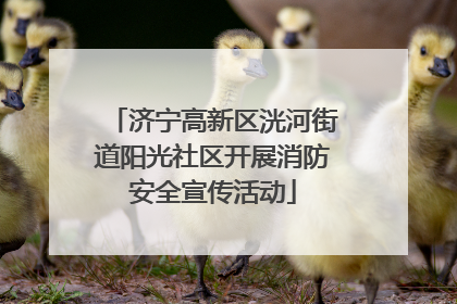 济宁高新区洸河街道阳光社区开展消防安全宣传活动