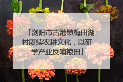 浏阳市古港镇梅田湖村赓续农耕文化，以研学产业反哺粮田