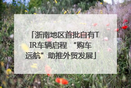 浙南地区首批自有TIR车辆启程 “购车远航”助推外贸发展