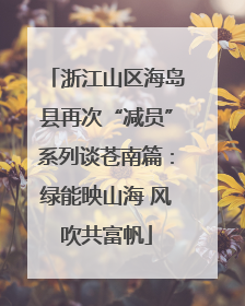 浙江山区海岛县再次“减员”系列谈苍南篇：绿能映山海 风吹共富帆