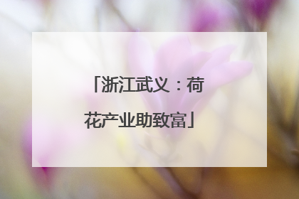 浙江武义：荷花产业助致富