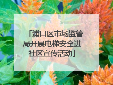 浦口区市场监管局开展电梯安全进社区宣传活动