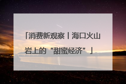 消费新观察丨海口火山岩上的“甜蜜经济”
