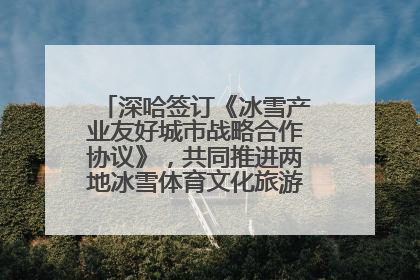 深哈签订《冰雪产业友好城市战略合作协议》，共同推进两地冰雪体育文化旅游高质量发展