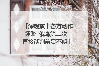 深观察丨各方动作频繁  俄乌第二次直接谈判前景不明