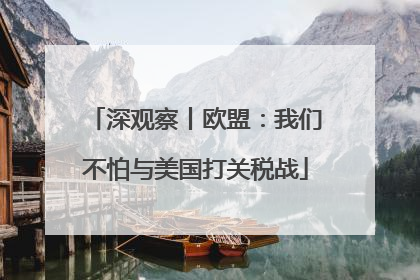 深观察丨欧盟：我们不怕与美国打关税战