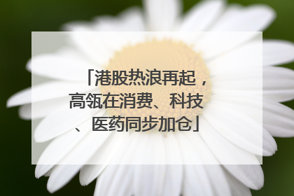 港股热浪再起，高瓴在消费、科技、医药同步加仓