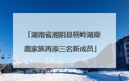 湖南省湘阴县横岭湖麋鹿家族再添三名新成员