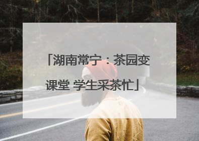 湖南常宁：茶园变课堂 学生采茶忙