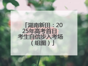 湖南新田：2025年高考首日 考生自信步入考场（组图）