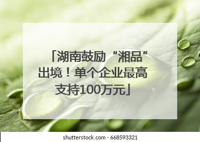 湖南鼓励“湘品”出境！单个企业最高支持100万元