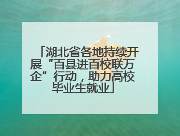 湖北省各地持续开展“百县进百校联万企”行动，助力高校毕业生就业