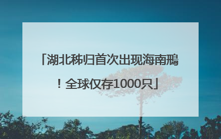 湖北秭归首次出现海南鳽！全球仅存1000只