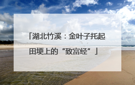 湖北竹溪：金叶子托起田埂上的“致富经”