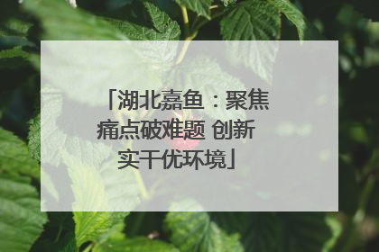 湖北嘉鱼：聚焦痛点破难题 创新实干优环境