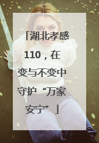 湖北孝感110，在变与不变中守护“万家安宁”